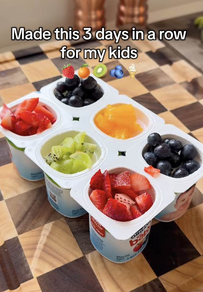 Yogurt Cup Fruit Ice Pops